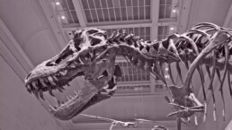 noiinfidas 4-2014 cover