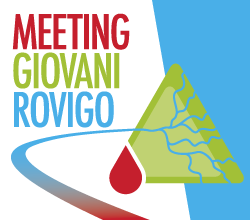 meeting-giovani-rovigo logo web