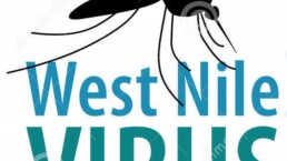 westnilevirus