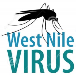 westnilevirus