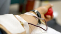 donazione sangue, gesto responsabile, gratuito e volontario