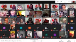 AFDS Zanon Deganutti